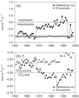 Fig. 7 Relative contribution of carbon and inorganic nutrient river loads to net ecosystem production (NEP) and air–sea CO 2