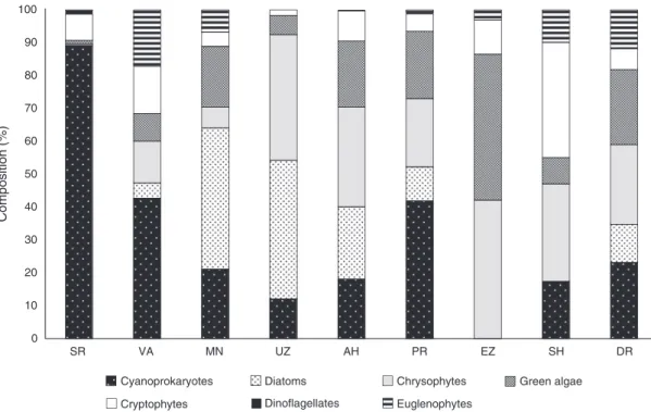 Fig. 3. General phytoplankton composition according to the pigment markers examined by HPLC (expressed as relative percentage abundance of the total biomass) in the Bulgarian water bodies studied