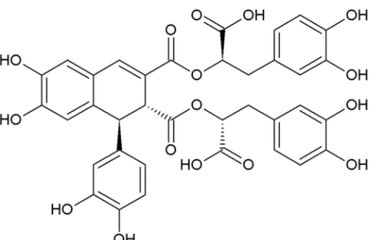Illustration 13: pyrrolizidine