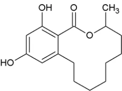 Illustration 16: des-O-méthyllasiodiplodine