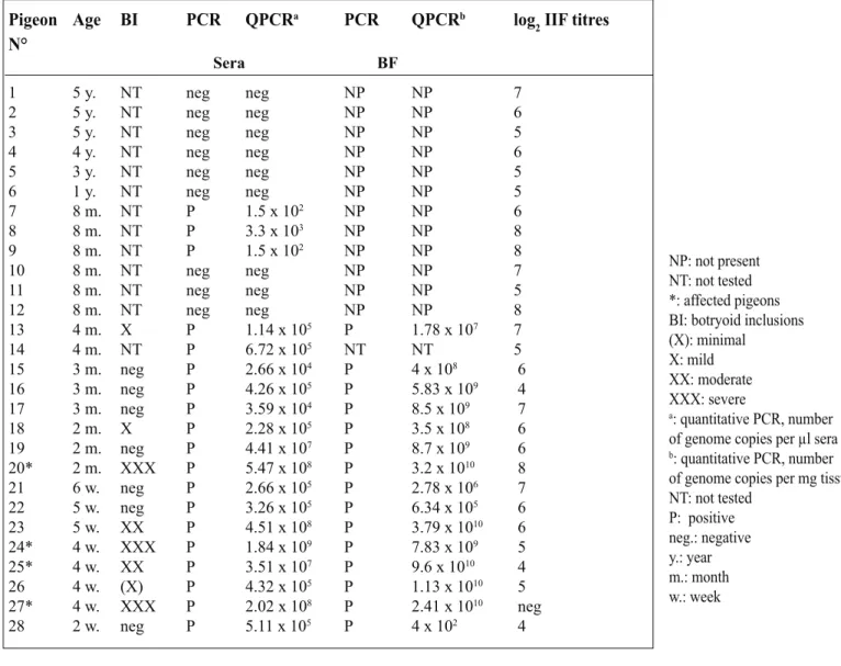 Table 1: Results of conventional and SYBR Green real-time for sera and BF and antibody titres 