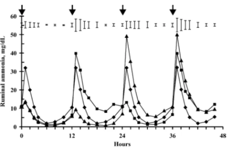 Figure 1. Ruminal ammonia concentration in bulls fed the same diet offered in three feeding patterns to induce different time periods of imbalance between energy and N supplies for ruminal microbes either of 0 h (♦), 12 h (䊏), or 24 h (▲)