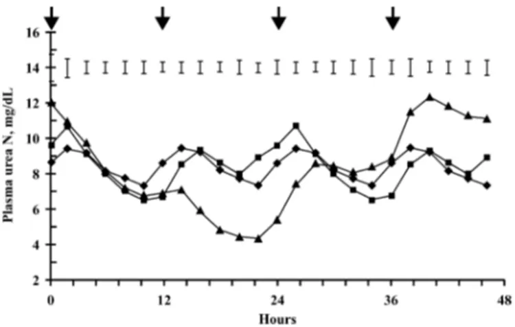 Figure 2. Plasma urea N in bulls fed the same diet offered in three feeding patterns to induce different time periods of imbalance between energy and N supplies for ruminal microbes either of 0 h (♦), 12 h (䊏), or 24 h (▲).