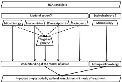 Fig. 10.2 Scheme of experiment necessary to understand the mode of action and the ecological niche of a BCA