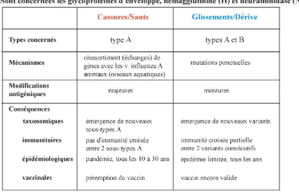 Figure 5 : Comparaison des caractéristiques des modifications antigéniques des virus influenza 