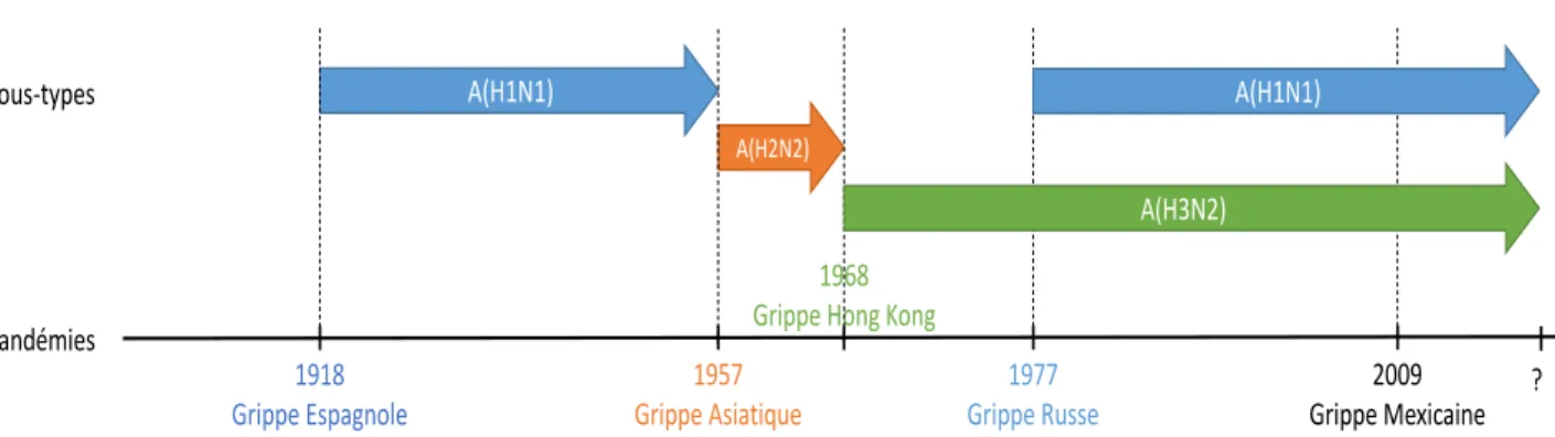 Figure 8 : Frise chronologique de l’historique des dernières pandémies grippales 