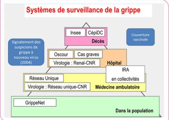 Figure 10 : Schéma des systèmes de surveillance de la grippe en France (source InVS France) 