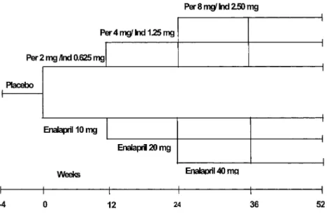 Figure 1. Study design. Per indicates perin- perin-dopril; Ind, indapamide.