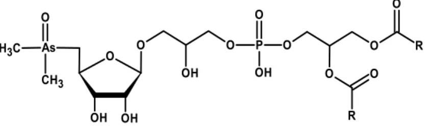 Figure 1. Chemical structure of dimethylarsenoriboside phospholipids (R—a carbon chain  of fatty acid)
