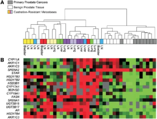 Figure 3 D’après Montgomery et al. 133  Regroupement hiérarchique non supervisé de CPRC  métastatiques (LN : lymph nodes), de lésions bénignes prostatiques et de cancers primitifs  hormono naïfs, basé sur l’expression différentielle des transcrits encodant