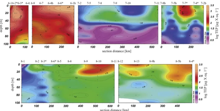 Fig. 8. Vertical sections of the concentrations of chlorophyll a (chl a) versus section distance for each campaign leg (Fig