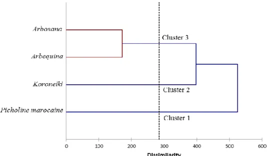 Figure 2: Dendrogram of analytical virgin olive oil variables obtained from different studied cultivars using  Euclidean distance