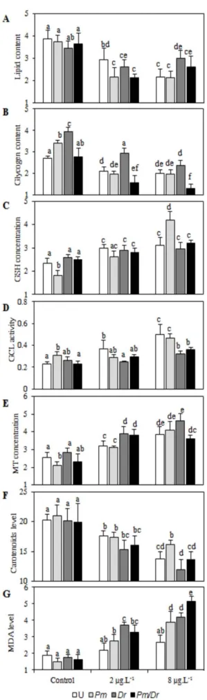 Figure 2. Integrated Biomarker Responses measured in G.