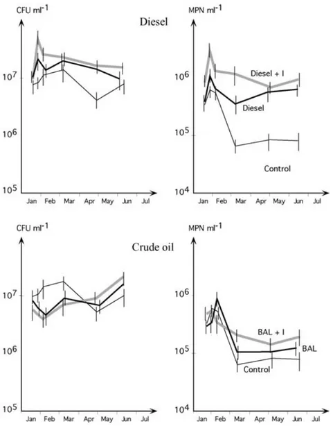 Fig. 3. Changes of saprophytic (left) and hydrocarbon-utilising (right) microbial abundance in soil 2 during the 1997 contamination experiments