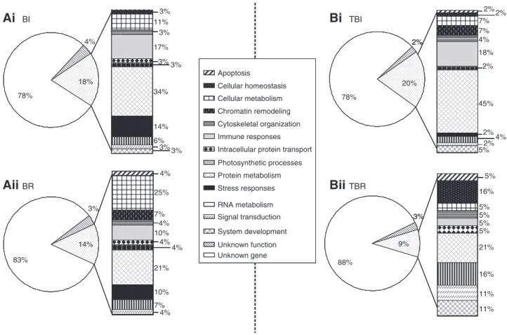 Fig.  5. Functional classification of the sequences obtained from the bacteria-induced (BI), bacteria-repressed (BR), thermo-bacteria-induced (TBI) and thermo-bacteria-repressed (TBR) libraries