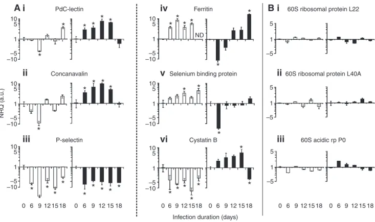 Fig.  6. Temporal expression patterns of selected candidate and reference genes. (A)  qRT-PCR was used to measure the expression levels of six selected candidates from the non-virulent and virulent experiments on days 0, 6, 9, 12, 15 and 18