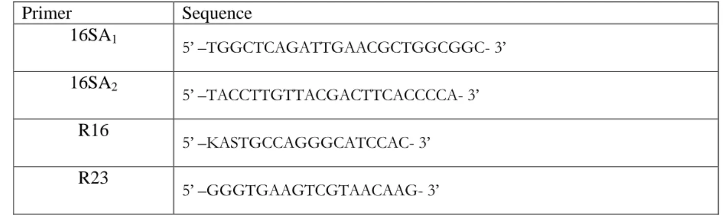 Table 1: Sequence primer used to amplify 16S rDNA and ITS  Primer  Sequence  16SA 1 5’ –TGGCTCAGATTGAACGCTGGCGGC- 3’  16SA 2 5’ –TACCTTGTTACGACTTCACCCCA- 3’      R16  5’ –KASTGCCAGGGCATCCAC- 3’  R23  5’ –GGGTGAAGTCGTAACAAG- 3’ Table 1