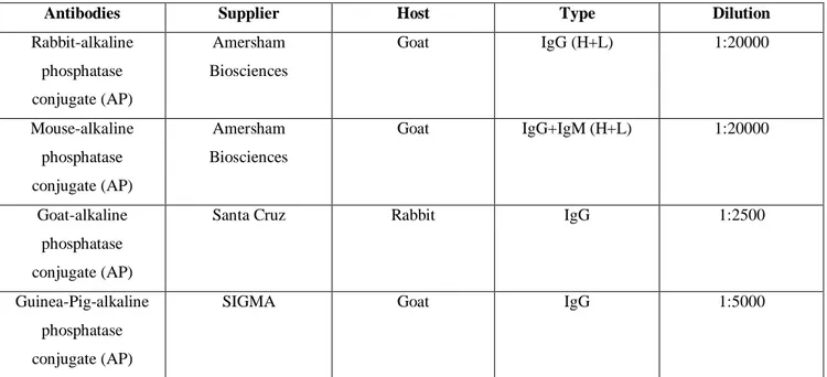Table I – Secondary Antibodies for Western Bloting 