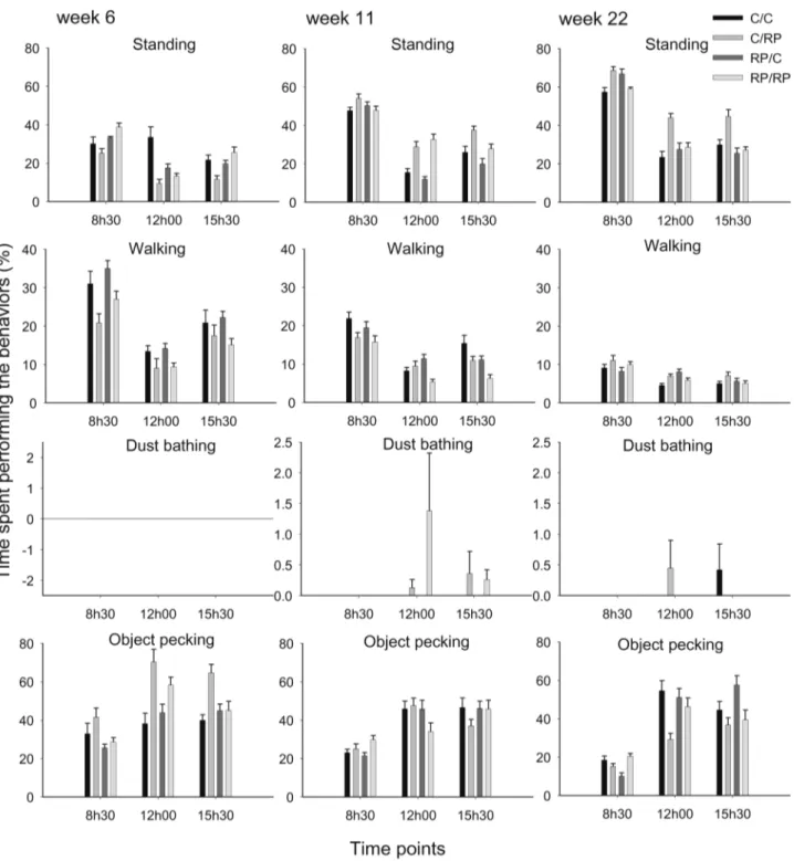 Figure 3. Percentage of time spent on different behaviors (had only F1-diet effect) for broiler breeders in the F1 generation in weeks 6, 11, and 22