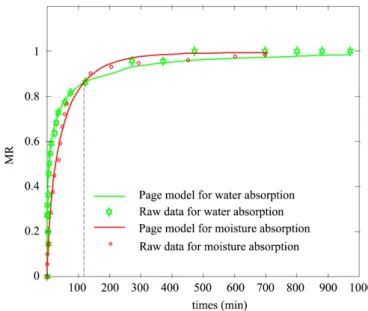 Figure 12. Predicted model of page for moisture adsorption and water absorption. 