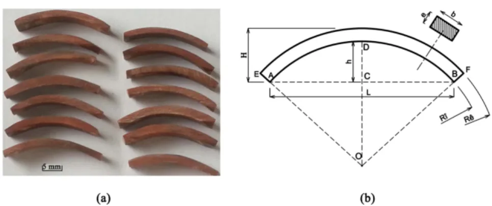 Figure 5.  CS-shell cutting planes for SEM observation: (a) meridional plane (MP); (b)  equatorial plane (EP)