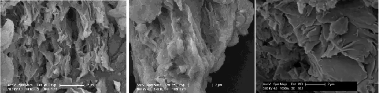 Figure 1. Images au microscope électronique à balayage des argiles de Bana. 