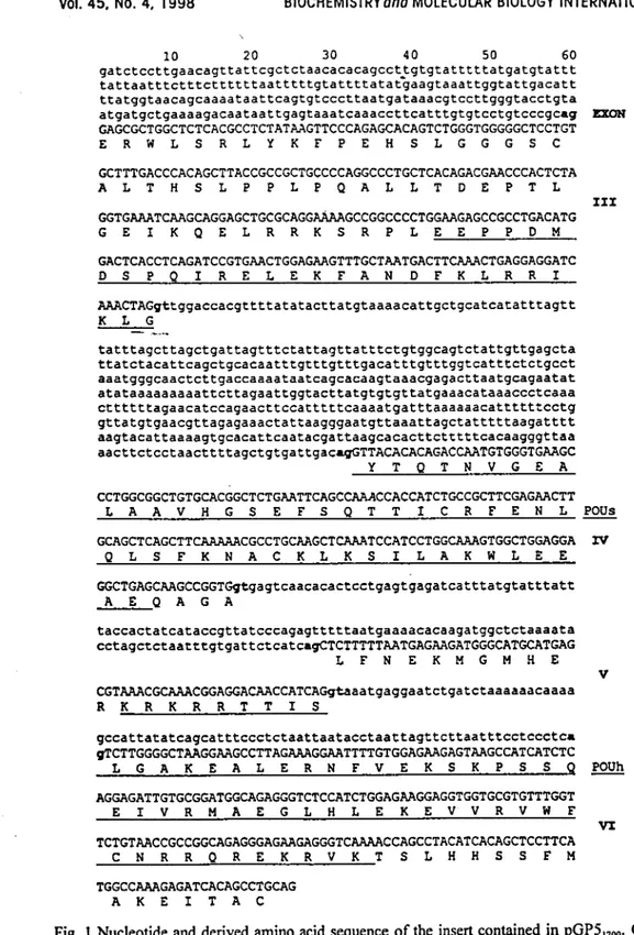 Fig.  I  Nucleotide  and  derived  amino  acid sequence  of  the  insert contained  in  pGP5'106