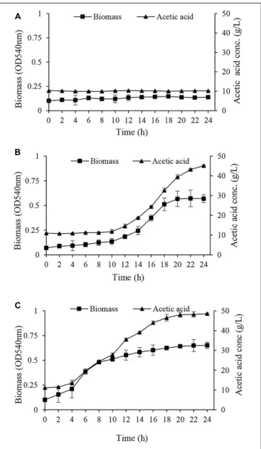 FIGURE 3 | Growth and acetic acid production of Acetobacter senegalensis LMG 23690 T acclimated to different carbon sources