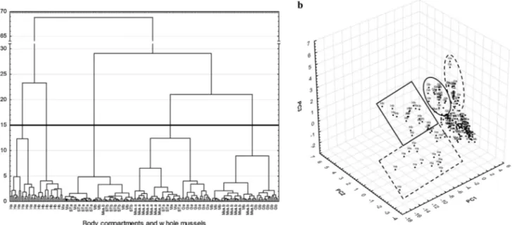 Fig. 6. (a) Dendrographic classiﬁcation after cluster analysis (Euclidean distance as measure of similarity) using trace element (TE) concentrations and (b) three-dimensional (3D) scores plot after principal component analysis according to TE concentration