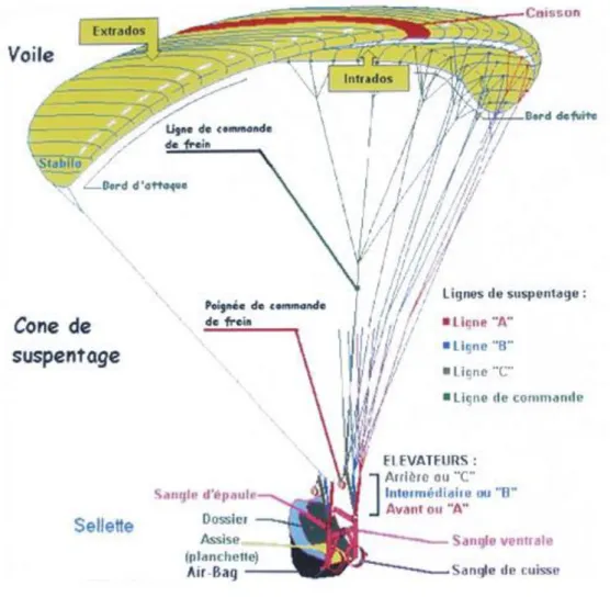 Figure 1 : Parapente et sellette 