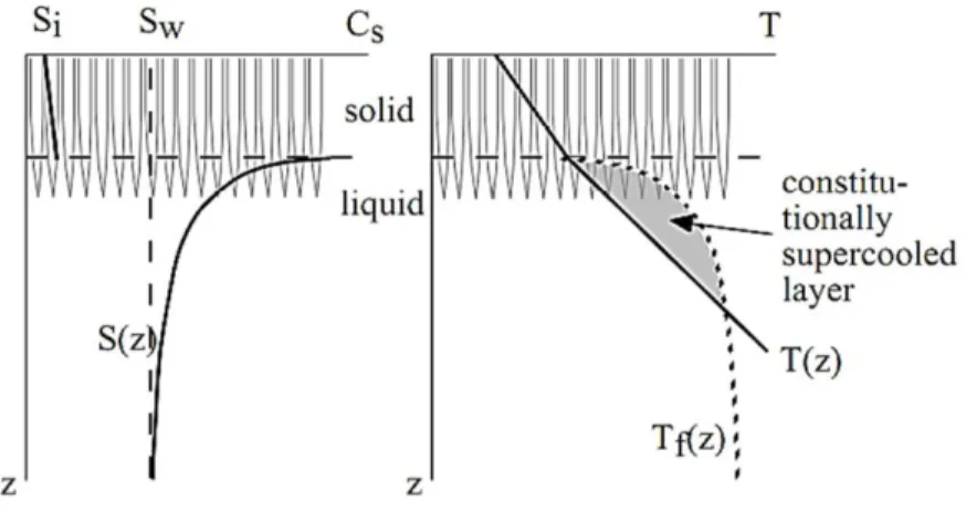 Figure 5 Drawing of the lamellar ice crystals and representation of the changes of salinity (left) and  temperature  (right)  below  the  ice/water  interface  (dashed  horizontal  line)