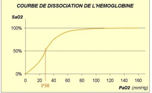 Figure 2 : Courbe de Barcroft de dissociation de l'hémoglobine. 