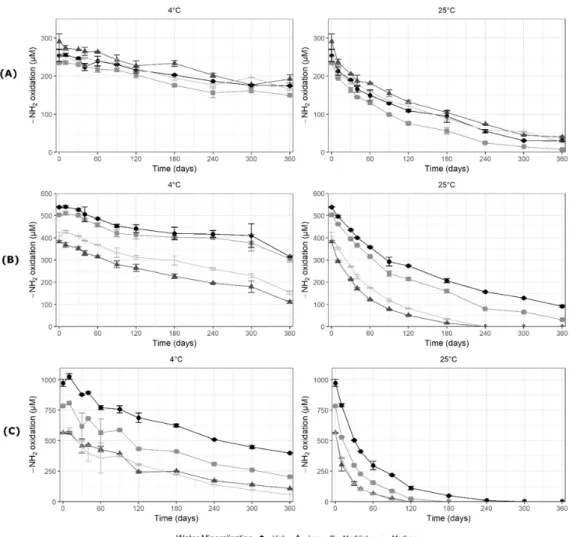 Figure 3. Oxidant concentration expressed in -NH 2  oxidation (μM) of (A) (half-dose): 2.7 mM KI + 0.6  mM KSCN + 3.3 mM H 2 O 2 ; (B) (full-dose): of 5.4 mM KI + 1.2 mM KSCN + 6.6 mM H 2 O 2  ; (C)  (double-dose): 10.8 mM KI + 2.4 mM KSCN + 13.2 mM H 2 O 