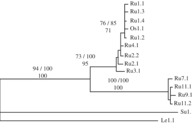 Fig. 3 Phylogeny of the 273-bp cytochrome b sequences analysed with maximum-likelihood method using the TrN + I + G model.