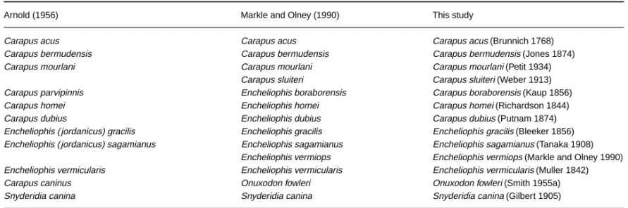 Table 3 Matrix of the different characters. Data of Carapus sluiteri and Encheliophis vermiops are not confirmed; their feature states do not  depend on this work
