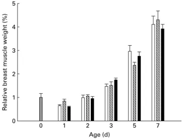 Fig. 2. Relative breast muscle weight (%) of chicks fed low- (LP), medium- medium-(MP) or high-protein (HP) pre-starter diet