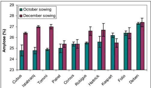 Figure 4: Amylose content in relation with the wheat variety and the sowing dates 