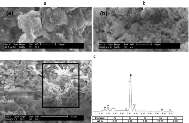 Figure 1.11. SEM micrographs of compacted (a) untreated soil, (b) lime treated soil after 24 h,  (c) samples cured for 7 days in saturated conditions, adapted from (Di Sante et al