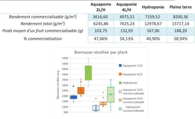 Tableau 6 : Bilan de phytoépuration des tomates pour les parties végétales et les fruits 