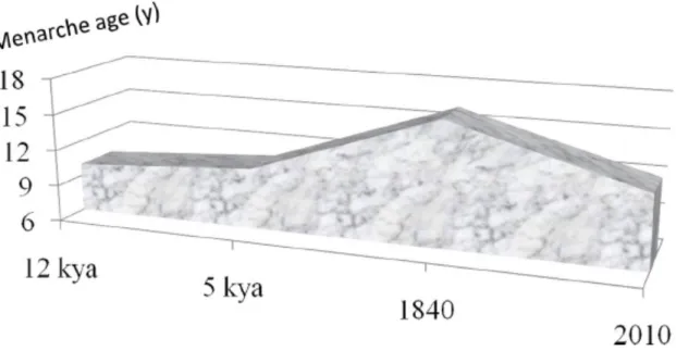 Figure 2 – Évolution de l’âge de la ménarche au cours des âges 