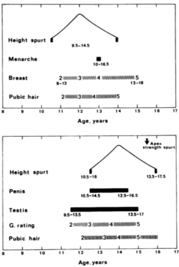 Figure 4 – Séquence pubertaire chez les filles et les garçons selon Tanner 
