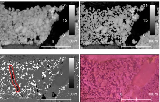 Figure 6. Evaluation of the differences between LiDAR and photo canopy height models: