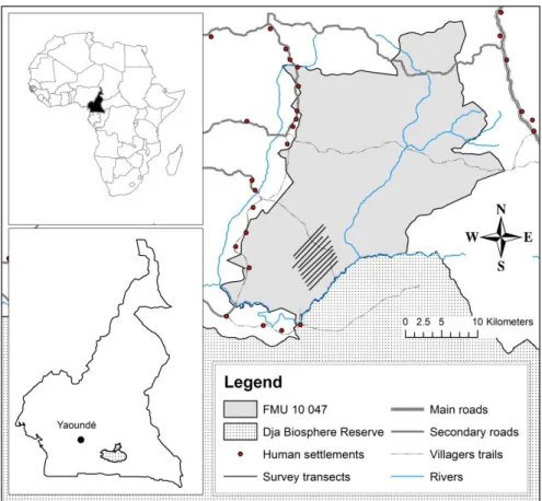 Figure 3. Map showing the localisation of the study site La Belgique, southeast  Cameroon, in relation with physical and human features