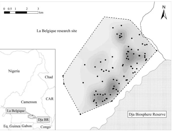 Figure 1. Delimitation and sampling intensity of faecal collection area at La Belgique research site, south-east  Cameroon