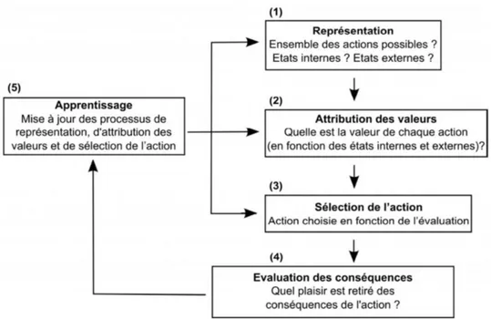 Figure 8 : Les étapes impliquées dans la prise de décision (Bechara et al. 1997) 