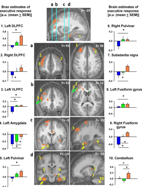 Fig. 2. Impact of the test light on executive brain responses depends on prior light. Orange blobs represent brain areas showing increased test-light impact after prior orange-light relative to prior blue-light exposure