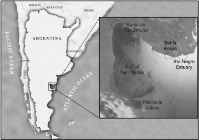 Figure 1: Map of the study area indicating Natural Protected Area Bahía de San Antonio, Bahía Rosas and the Río Negro estuary 