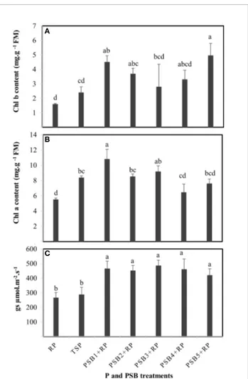 FIGURE 2 | Variation in root P acquisition ef ﬁ ciency RPAE (A) and the relationship between inorganic P and total P of durum wheat (B) fertilized with rock P in response to inoculation with ﬁve PSB isolates versus P (RP and TSP) treatments alone