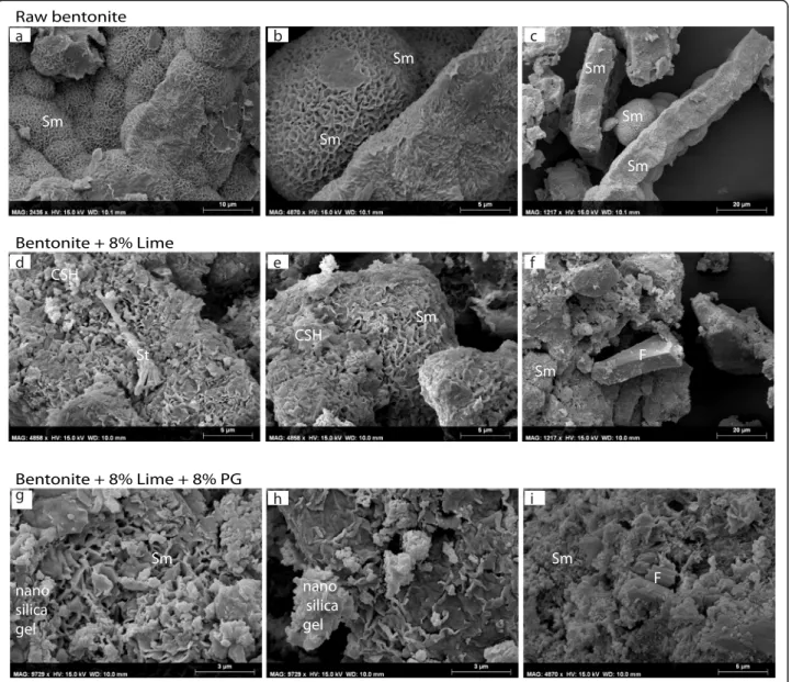 Fig. 4 SEM images of raw bentonite and the main mixture. a, b, c: morphology of well crystalized smectite