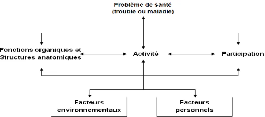 Figure 2. Modèle de fonctionnement du handicap, interactions entre les  composantes de la classification internationale du fonctionnement, du 
